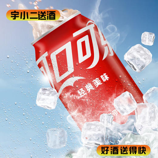 【碳酸饮料】可口可乐330ml*1 商品图0