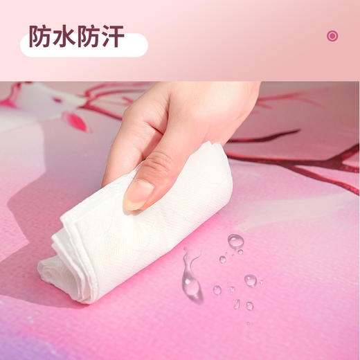 新款石墨烯电热瑜伽垫加热垫防滑电热地垫地暖垫 商品图2