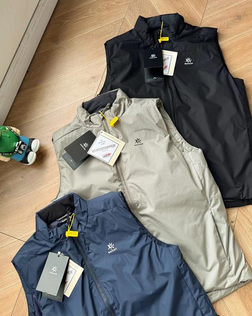 D110903秋冬款专业户外科技面料3M新雪丽马甲男女同款 商品图1