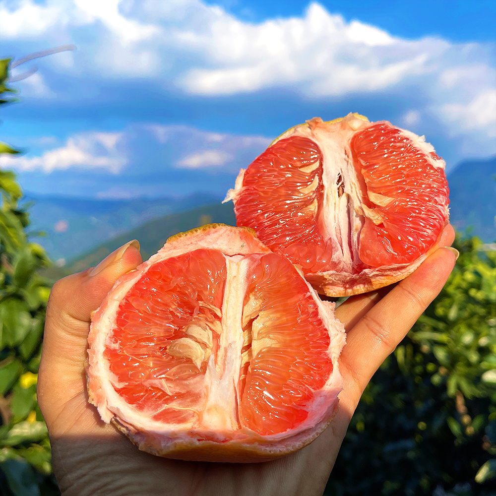 尝鲜福利『福建绯霞宝石柚』国产西柚，清甜无酸，柔嫩爆汁，明媚可人