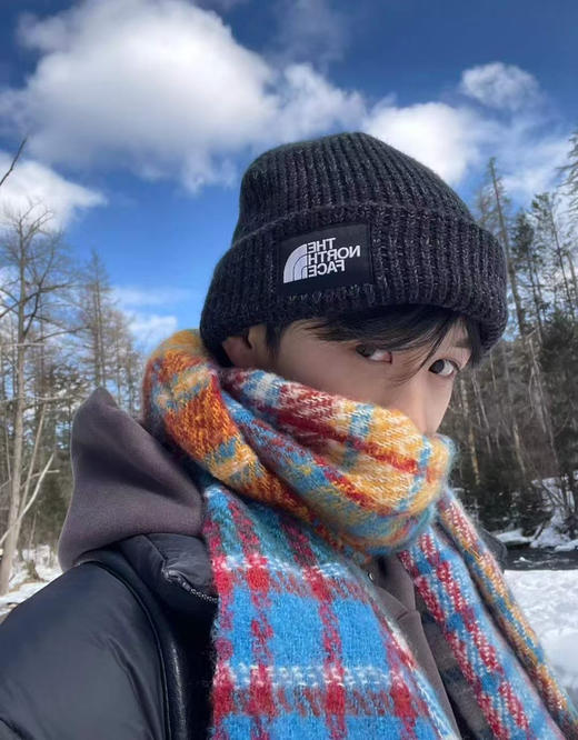 黑五价¥240包邮到手，北面🏔冷帽买起来，男女同款，凹造型保暖两不误[偷笑] 商品图6