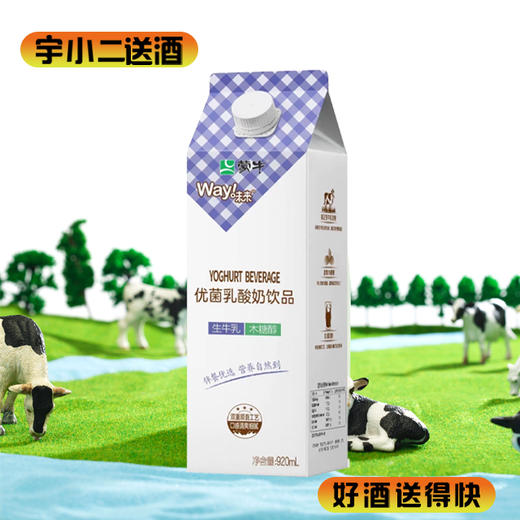 【生牛乳】蒙牛优菌乳酸奶饮品920ml 商品图0