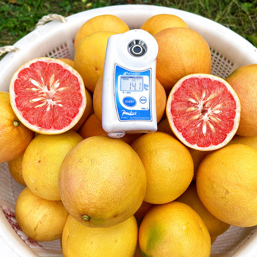 尝鲜福利『福建绯霞宝石柚』国产西柚，清甜无酸，柔嫩爆汁，明媚可人 商品图5