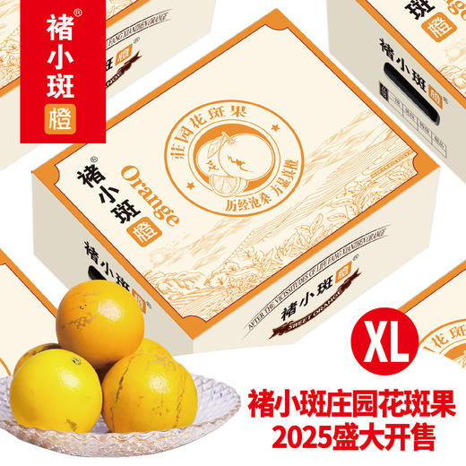 【2025季】褚小斑褚氏庄园花斑果特级XL10斤装一箱 商品图0