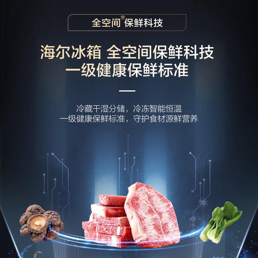 海尔（Haier）冰箱 BCD-510WGHFD1BXZU1 商品图6