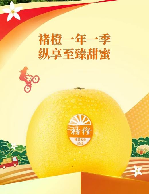 2025正品励志橙XL礼盒装橙子新鲜10斤冰糖橙 商品图3