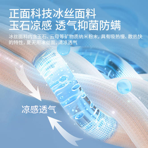 罗莱阿法眠-冬夏两用垫 商品图1