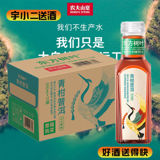 【茶饮料】东方树叶青柑普洱茶500ml*15 商品图0