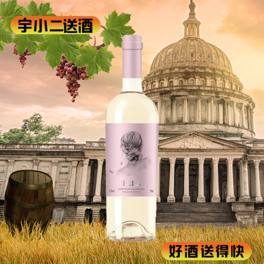 【进口红酒】阿根廷艾拉干白葡萄酒750ml 商品图0