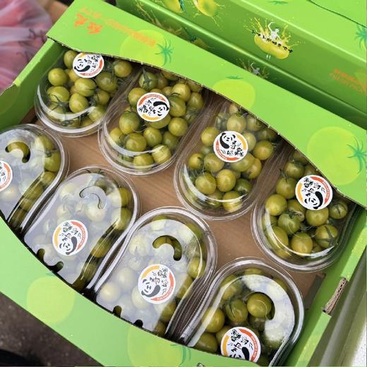 吃过就会复购的【青霞小番茄】~别看，是青的，甜着呢！超级浓郁的番茄味，推荐！ 商品图2