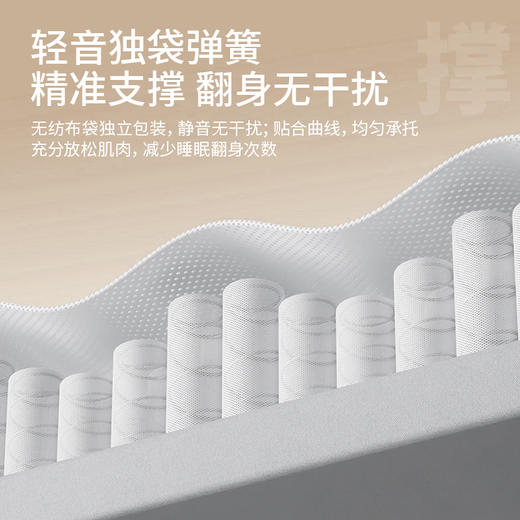 罗莱阿法眠-铂金一号垫 商品图1