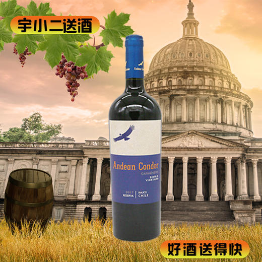 【进口红酒】智利安蒂斯神鹫珍藏干红14度750ml 商品图0