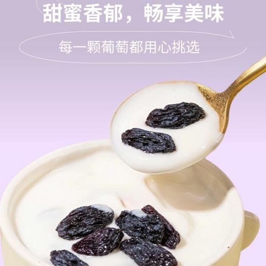 【黑加仑葡萄干】颗颗果肉饱满，入口果香浓郁 商品图3