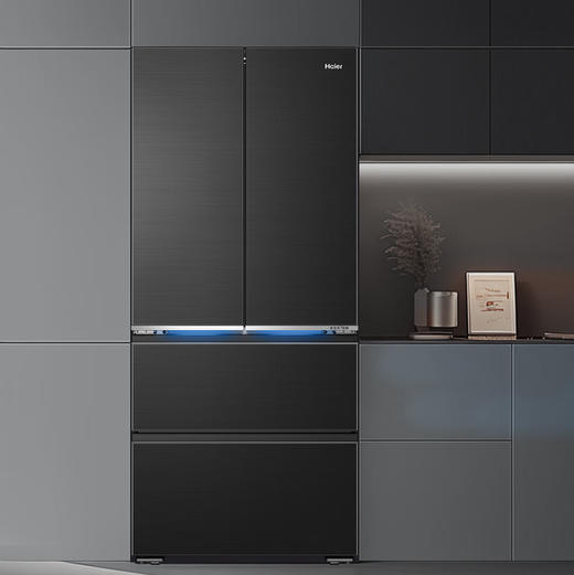 海尔（Haier）冰箱 BCD-510WGHFD1BXZU1 商品图5