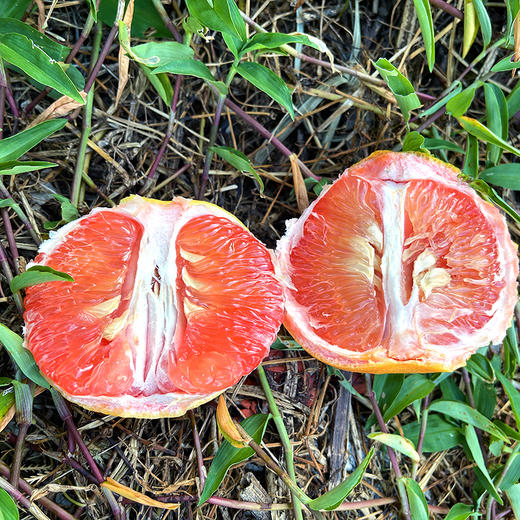 尝鲜福利『福建绯霞宝石柚』国产西柚，清甜无酸，柔嫩爆汁，明媚可人 商品图7