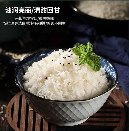 有机珍珠胚芽米 5斤装 有机长粒胚芽米  糙米 商品图3