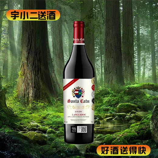 【进口红酒】法国圣卡图·博洛世家干红葡萄酒15°750ml 商品图0