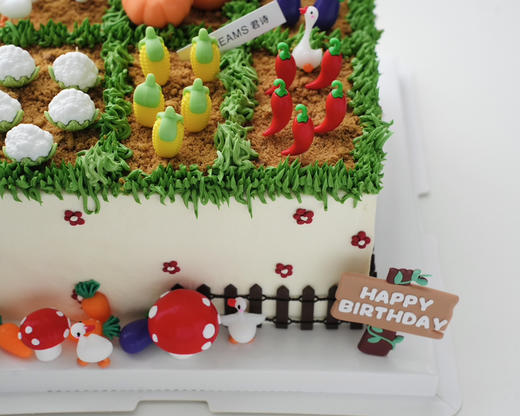 菜园子【提前一天预定】 商品图1