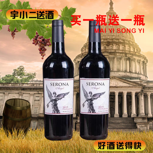 【买一送一】【进口红酒】智利赛罗娜天使赤霞珠干红葡萄酒13.5°750ml 商品图0