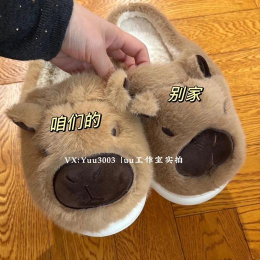 情侣款35-44：卡皮巴拉家居棉拖鞋，非劣质版，附对比 商品图4