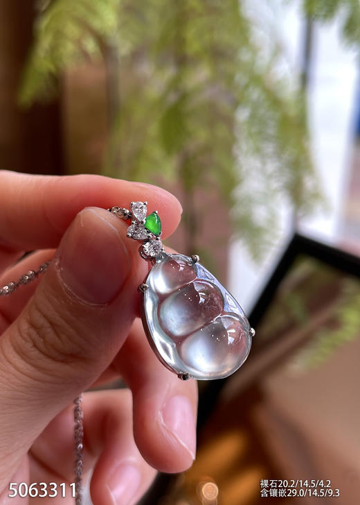 5063311，福豆吊坠。具体价格微信咨询 商品图5