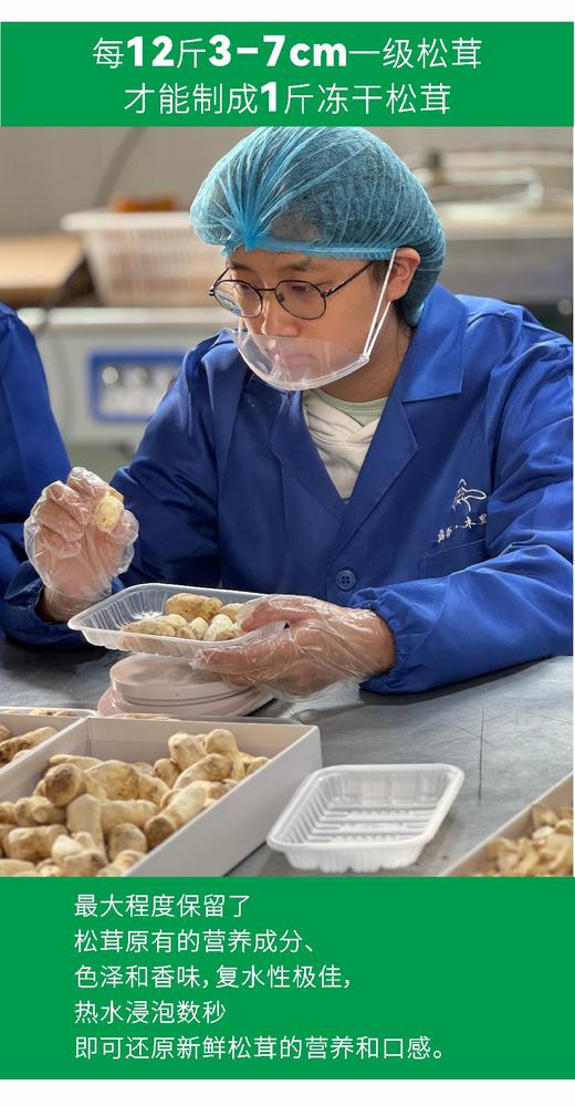 精品冻干松茸礼盒28g/盒 商品图3