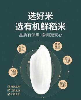 有机珍珠胚芽米 5斤装 有机长粒胚芽米  糙米