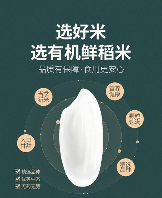 有机珍珠胚芽米 5斤装 有机长粒胚芽米  糙米 商品图0
