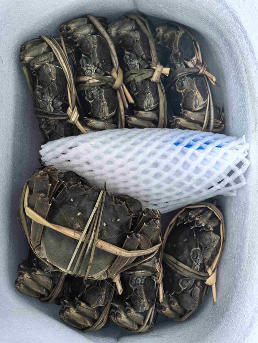 云南石屏稻田蟹 商品图3