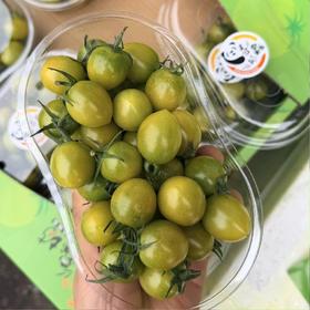 吃过就会复购的【青霞小番茄】~别看，是青的，甜着呢！超级浓郁的番茄味，推荐！