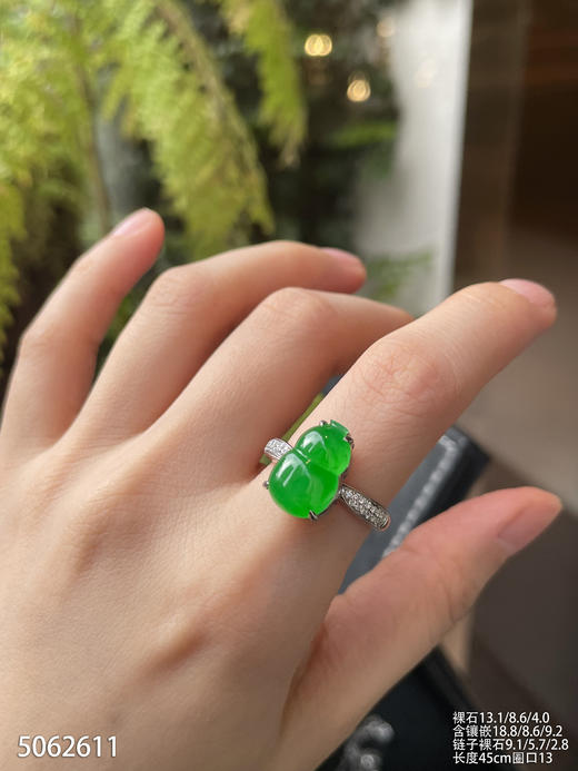 5062611，葫芦吊坠戒指两用款。具体价格微信咨询 商品图5