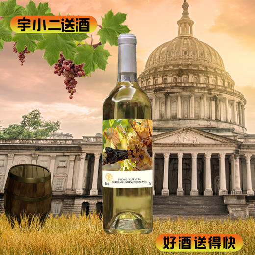 【进口红酒】法国雨榕城堡干白葡萄酒14°750ml 商品图0