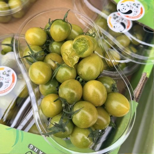 吃过就会复购的【青霞小番茄】~别看，是青的，甜着呢！超级浓郁的番茄味，推荐！ 商品图1