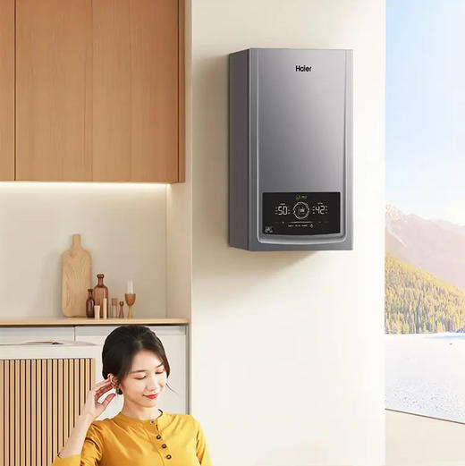 海尔（Haier）采暖炉 LL1PBD26-JN7PRONXPCU1 商品图0