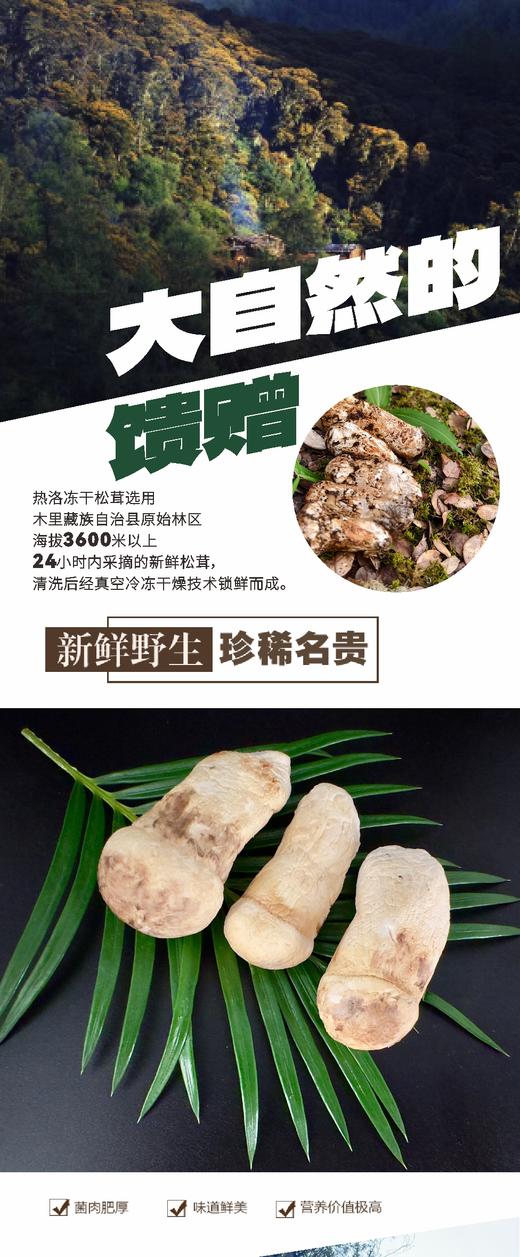 精品冻干松茸礼盒28g/盒 商品图1
