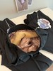 冬季光感UV锁温90白鹅绒纯色加绒保暖锥形小直筒羽绒裤棉裤情侣装 非常复杂工艺黑科技的的一批情侣装鹅绒裤 90%白鹅绒拼接光感UV锁温技术 商品缩略图5