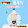 【乳酸菌】味动力乳酸菌原味1.25L 商品缩略图0