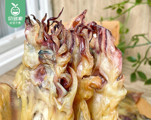 惠安甄选大墨鱼干/1包（3-4只，共约250g）生产日期：26年4月 商品图6