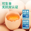 【到手30枚❗️可生食富硒鲜鸡蛋】营养更好吸收新鲜无抗双认证，蛋黄饱满圆润 蛋清细腻诱人，生食或熟食 滋味鲜嫩醇香！散养玉米黄土鸡蛋健康2026马年春节新年送礼物礼盒-d 商品缩略图3