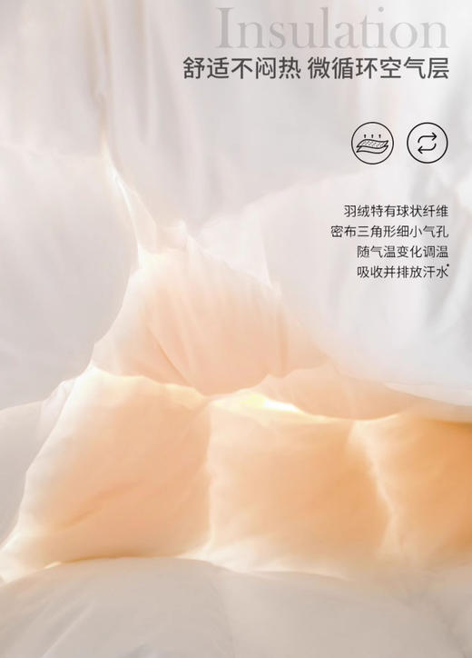 诗丹娜SIDANDA红点奖设计鹅绒被羽绒被 商品图5