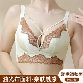高奢缎面蕾丝调整型内衣 大胸显小聚拢提拉上托 295#