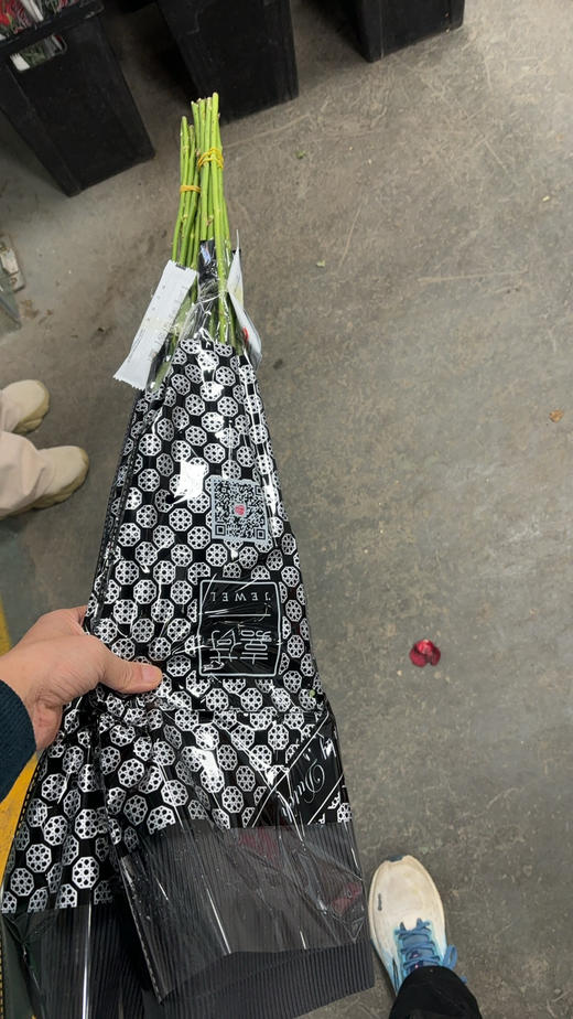 嘉禾白雪山 商品图1