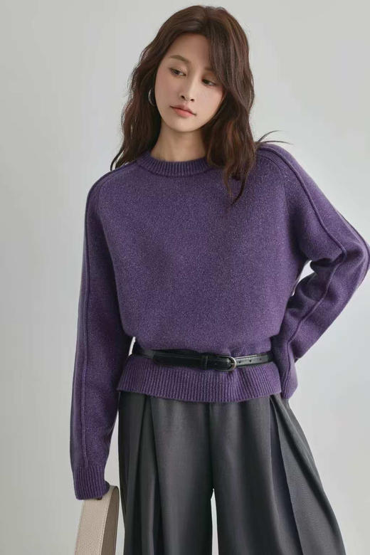 【团购 2025年 纯羊毛 圆领】多色 镶嵌金丝款 纯羊毛 羊毛衫 请手洗或轻柔机洗哦 柔软 亲肤 商品图10