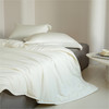 博洋家纺（BEYOND）A类舒柔大豆四季被200*230cm 商品缩略图1
