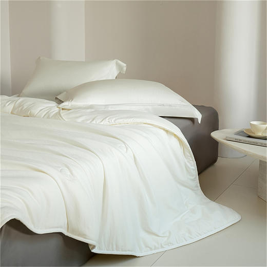 博洋家纺（BEYOND）A类舒柔大豆四季被200*230cm 商品图1