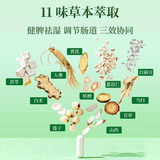 ⁶福利款：【祛濕丸】草本提取物（白术、当归、茯苓、黄芪、白扁豆、人参、桔梗、甘草、山药、薏苡仁、莲子）+褐藻寡糖，效期到28年9月【香港直邮】SS06-QTT-MIS 商品图5