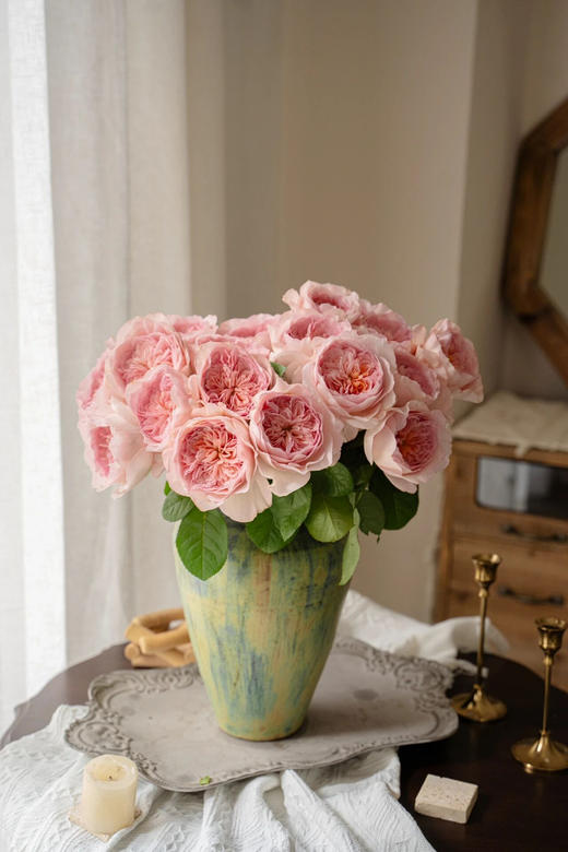 国产玫瑰-【妮可罗宾】 商品图1