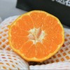 【满150元全疆包邮】东海爆橘（3.5kg） 商品缩略图0