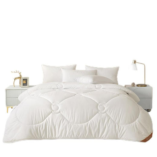 博洋家纺（BEYOND） 抑菌A类澳洲羊毛冬被（澳瑞白）200*230cm 商品图6