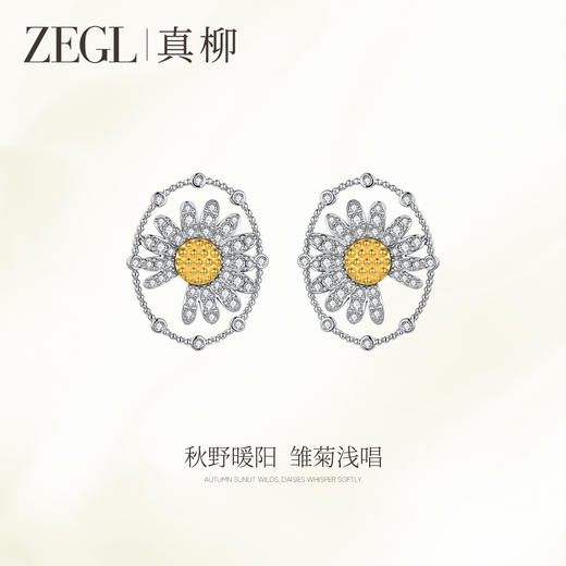ZEGL真柳设计师雏菊系列花朵耳钉女独特漂亮耳环秋冬耳饰新款爆款 商品图0